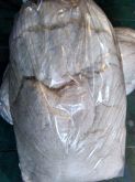 Estopa Branca - 10kg
